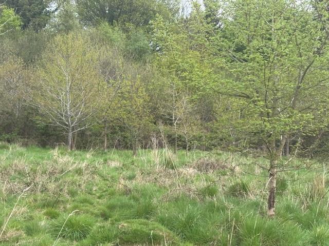 Approximately 4.639 acres of land, Llangenny nr Crickhowell